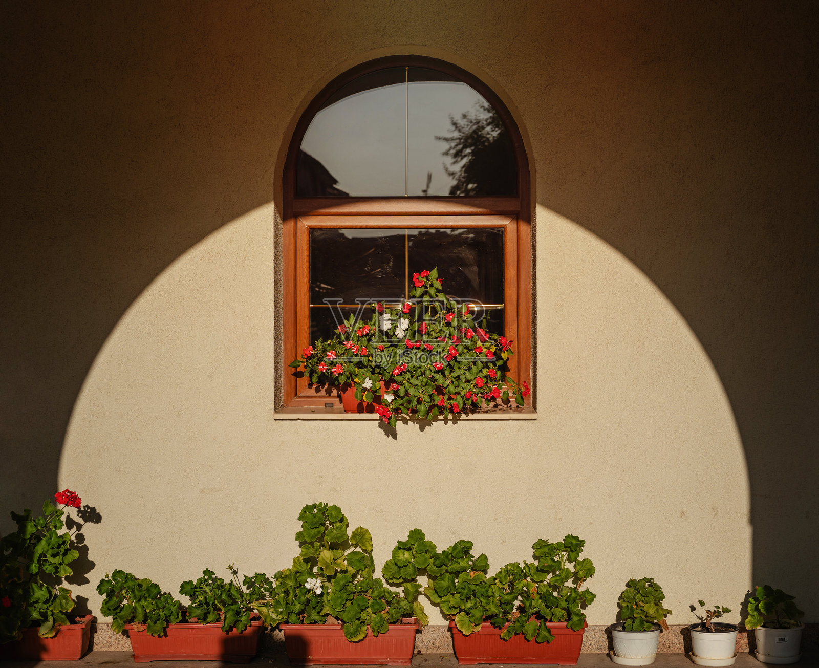 房窗前装饰性的花箱，里面种满了红色花朵照片摄影图片