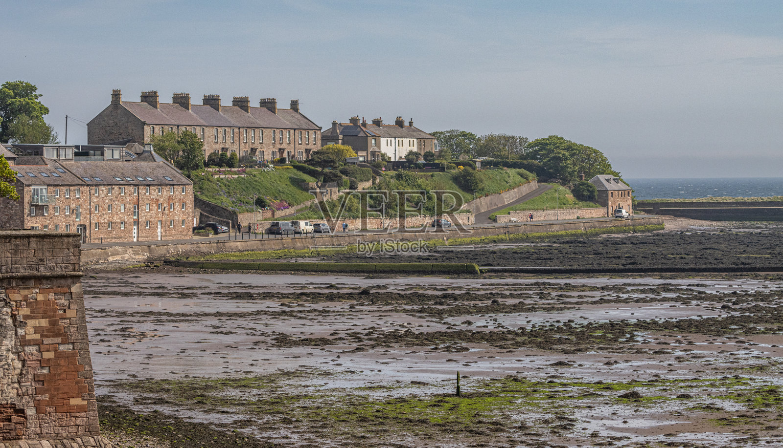 从特威德茅斯看贝里克港照片摄影图片