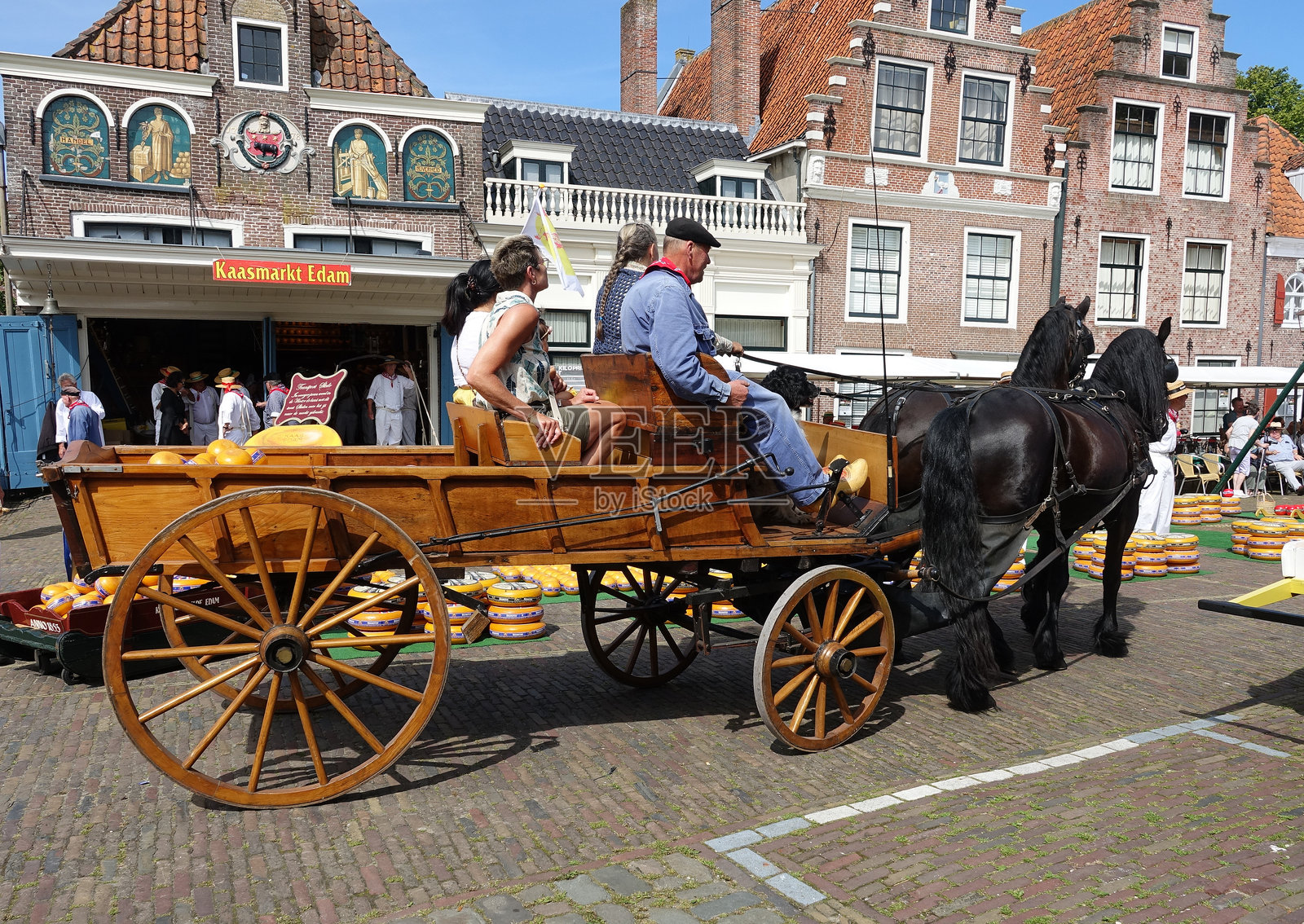 埃达姆的奶酪市场照片摄影图片