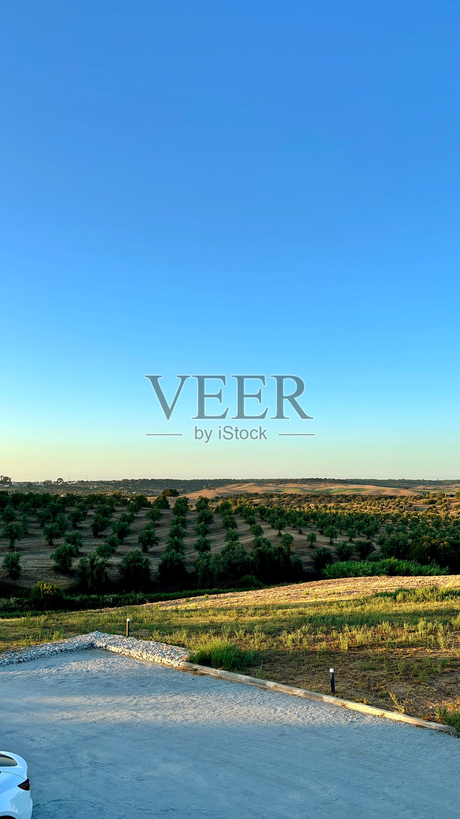 阿连特茹照片摄影图片