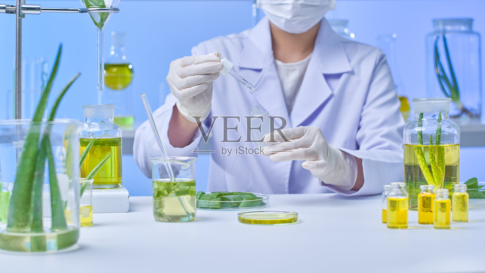 现代实验室中的芦荟实验实例照片摄影图片