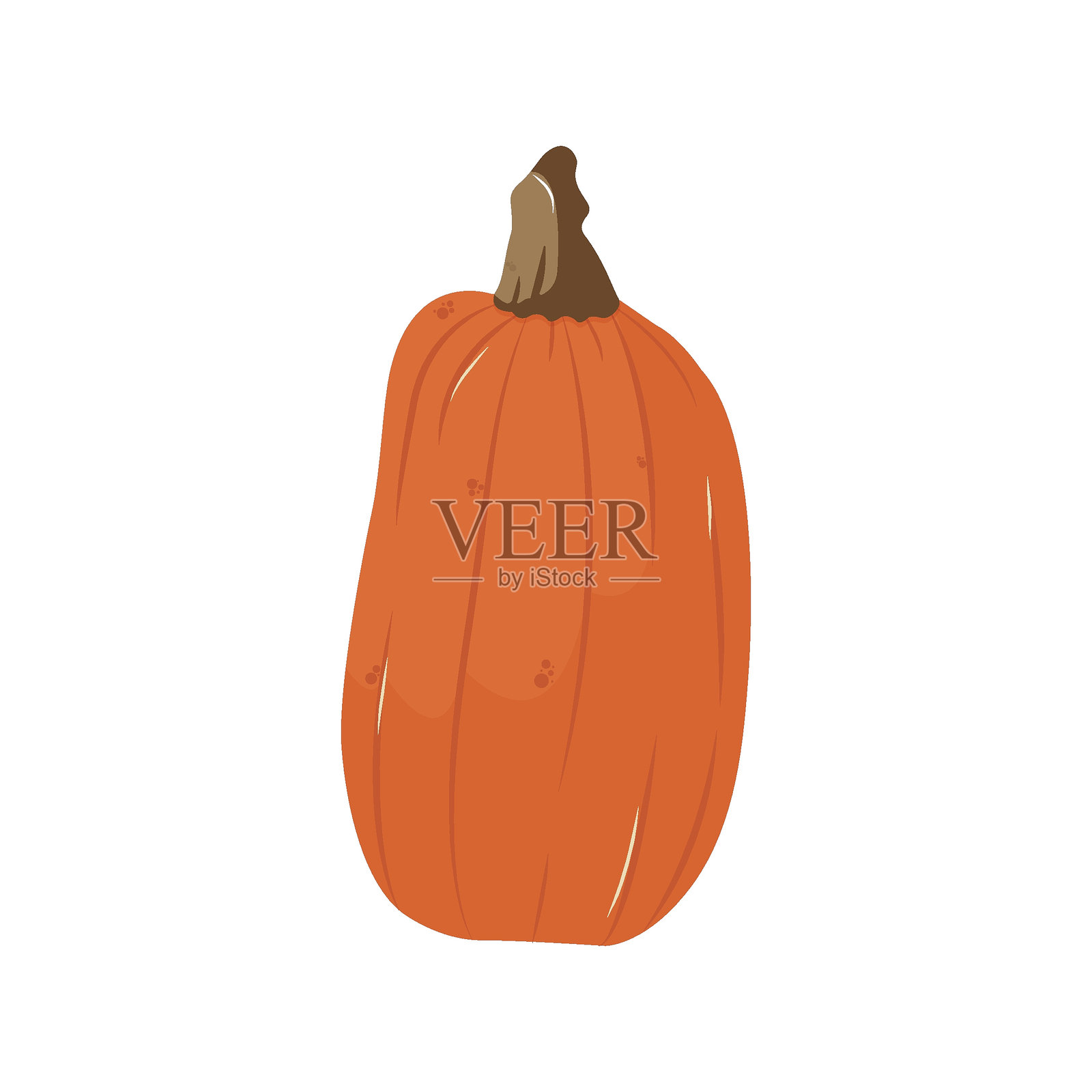 有机天然深橙色南瓜。南瓜季节。用于卡片、明信片、封面的独立插图。EPS 10插画图片素材