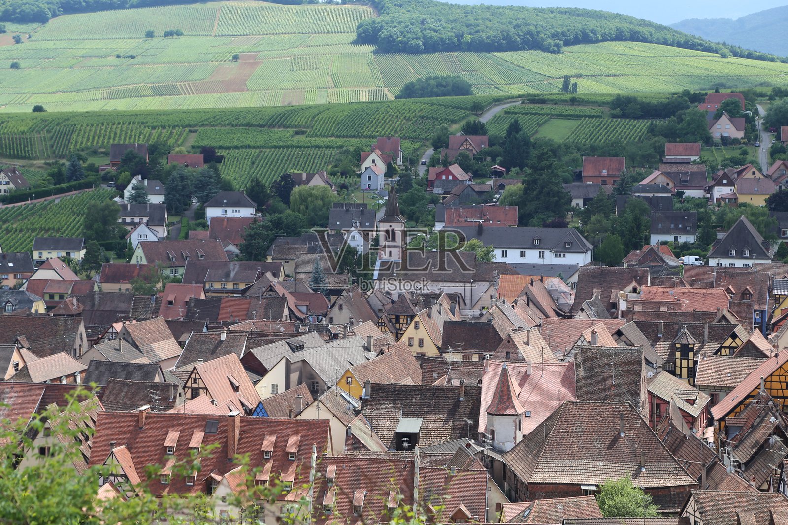 阿尔萨斯的多彩葡萄酒村庄:历史、风景与魅力照片摄影图片