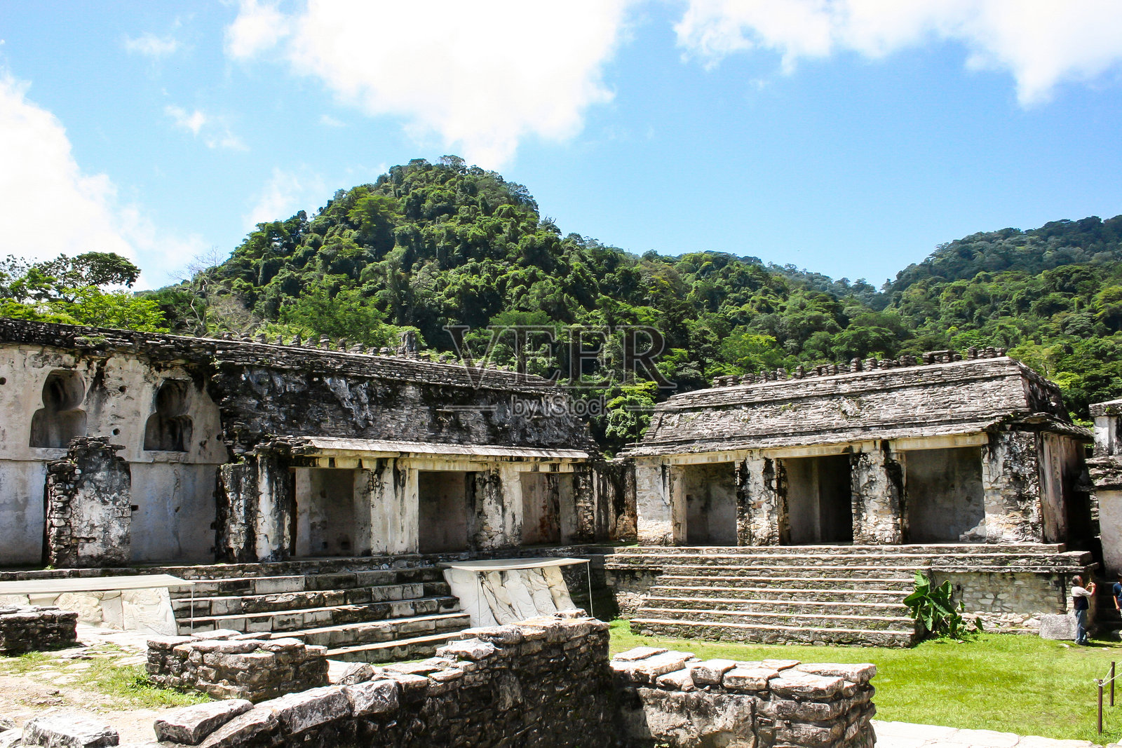 令人印象深刻的古代墨西哥帕伦克神庙矗立在茂密的热带丛林中，展示了玛雅文明的丰富历史。照片摄影图片