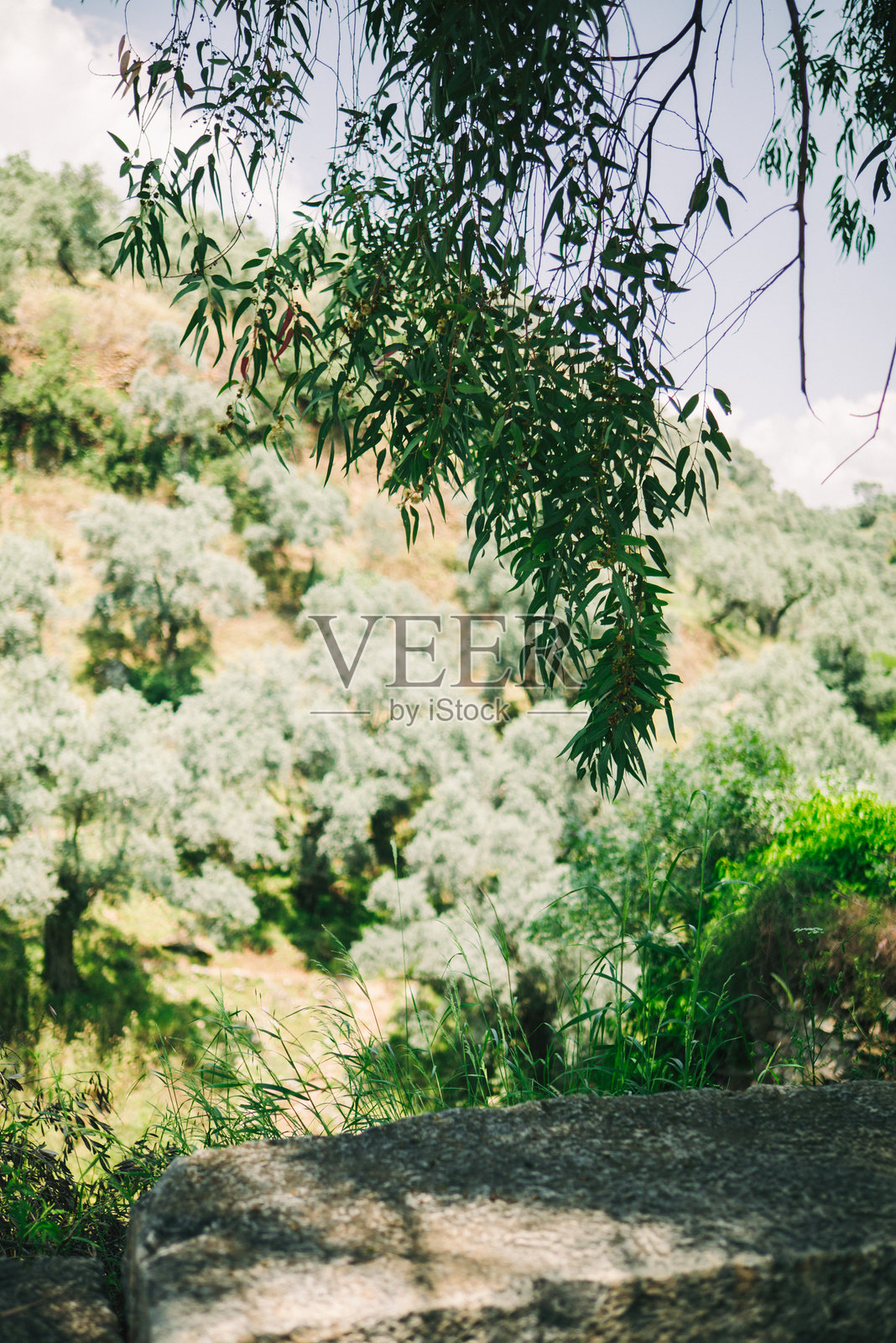 土耳其艾登的古城奈萨遗址，展示了古典建筑的遗迹，如剧院、神庙和公共建筑。照片摄影图片