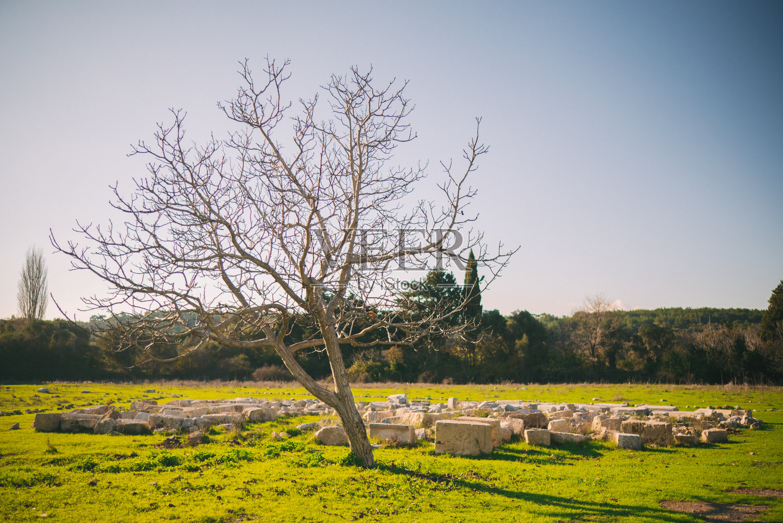 土耳其伊兹密尔的古城特奥斯遗址，展示了神庙、剧院和城墙等古典建筑的遗迹照片摄影图片