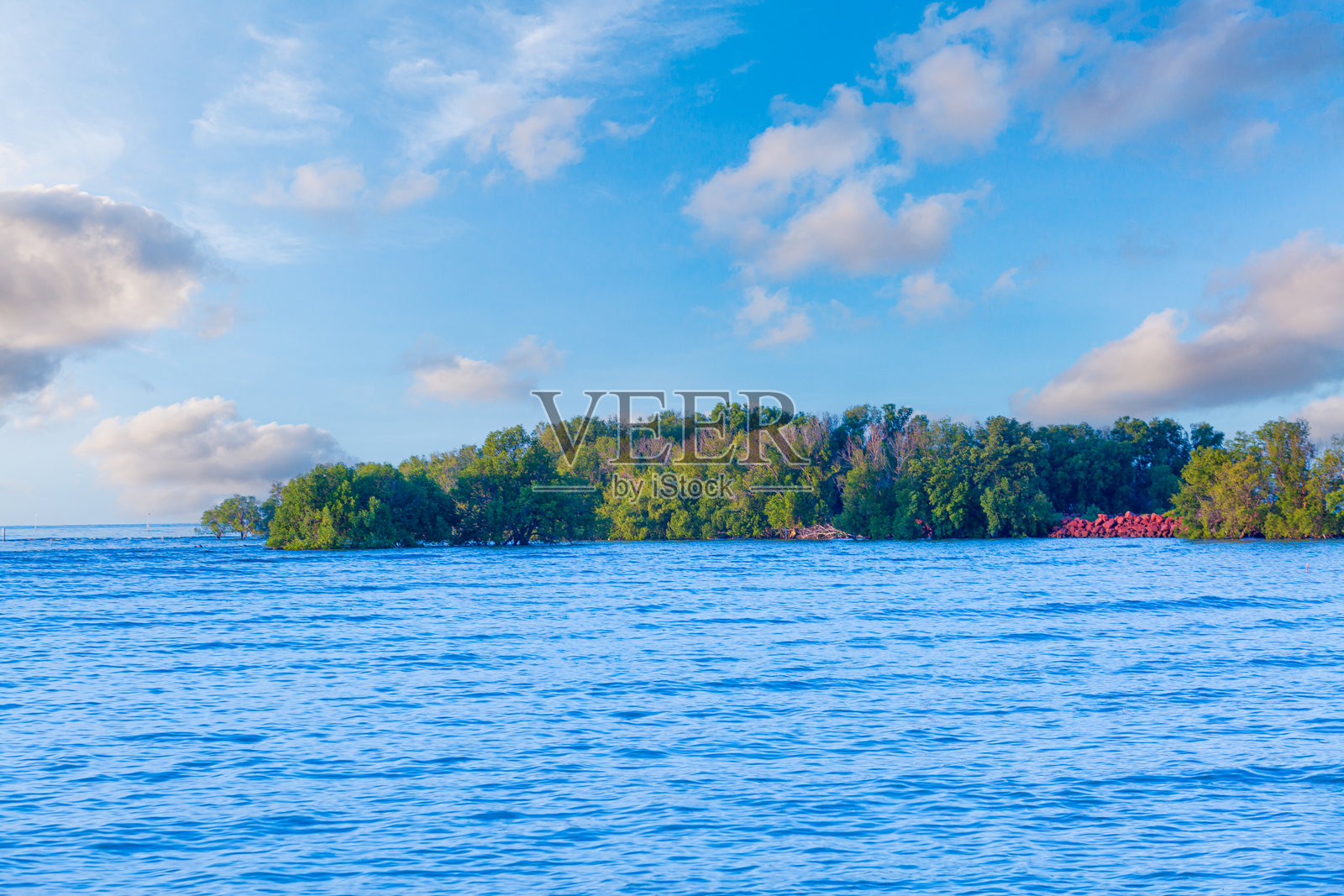 泰国的红树林和海岸线，泰国拉农省红树林栖息地海岸上的树木鸟瞰图照片摄影图片