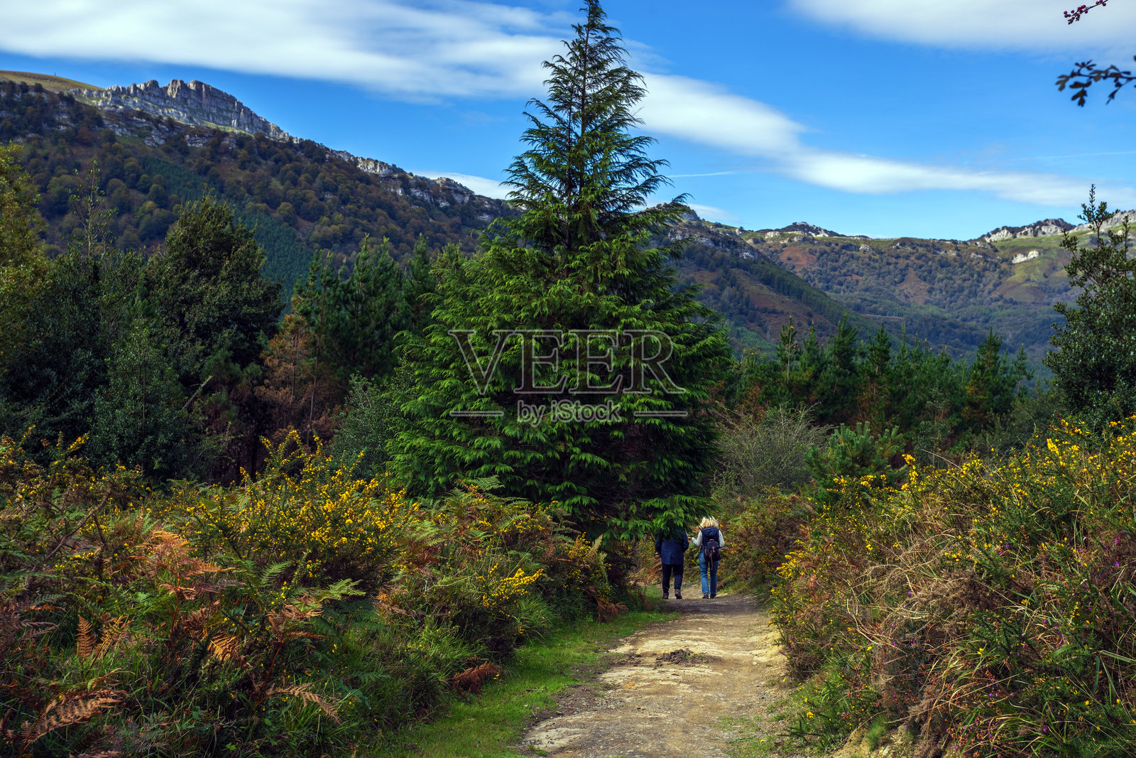 自然中的快乐照片摄影图片