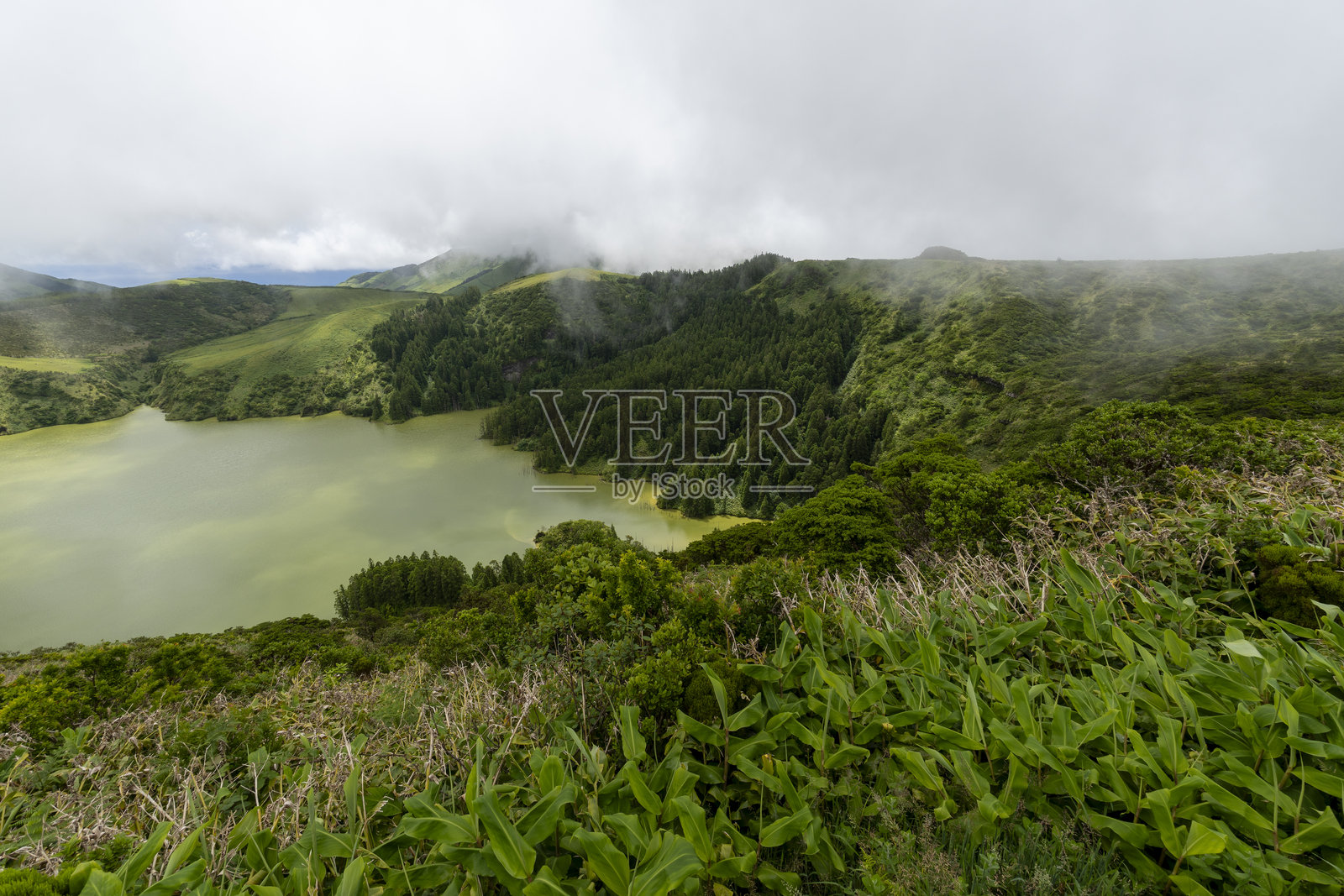 葡萄牙亚速尔群岛的弗洛雷斯岛照片摄影图片