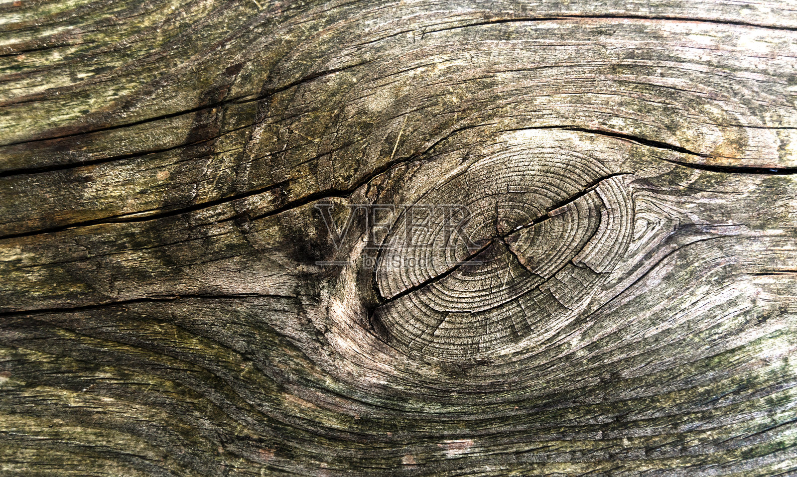 老旧木材的纹理，带有裂缝。自然背景。特写。选择性对焦。照片摄影图片