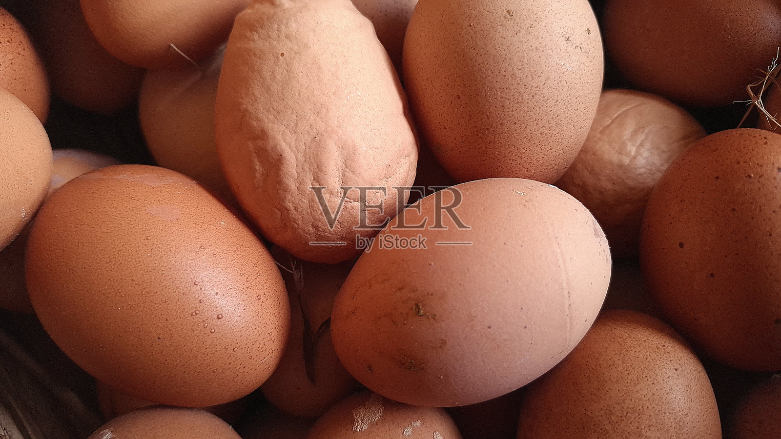 鸡蛋照片摄影图片