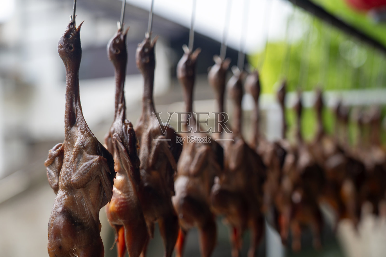 干酱鹌鹑照片摄影图片