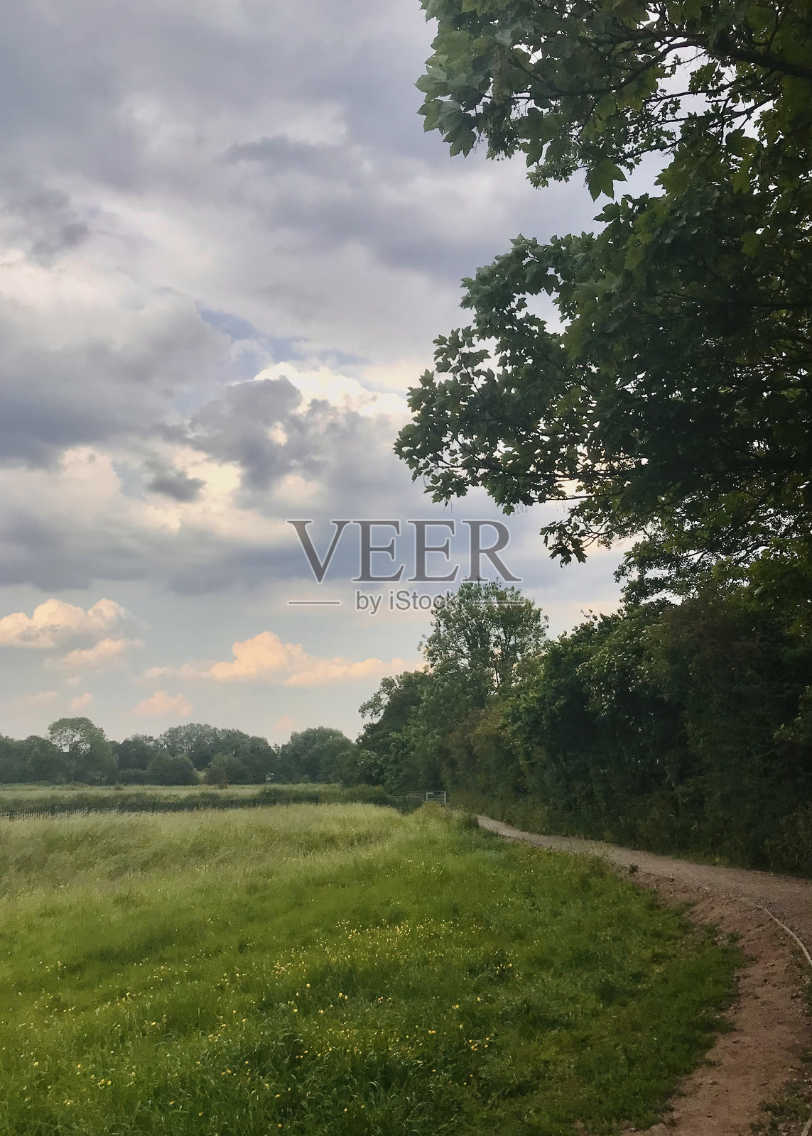 绿叶和树木的草地乡村小径，周围是蓝天和白云的风景照片摄影图片