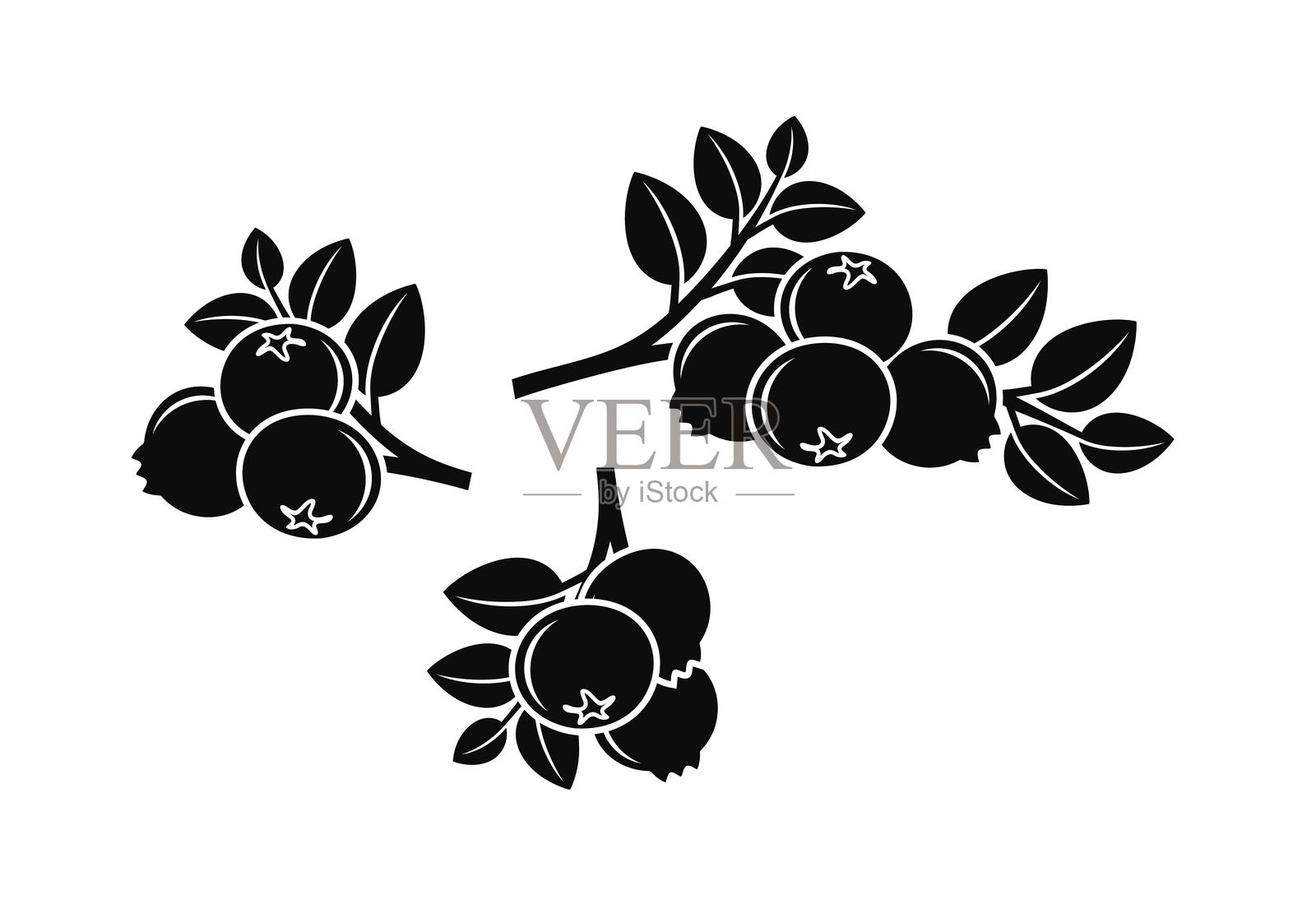 蓝莓标志。白色背景上的孤立蓝莓插画图片素材