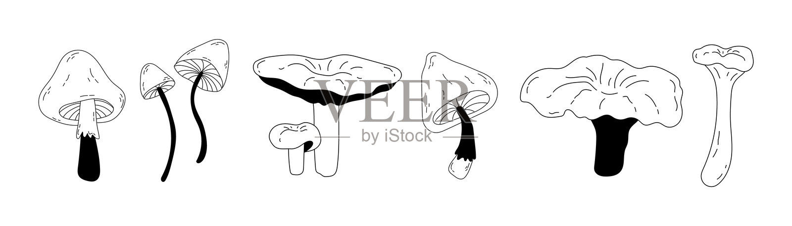 不同的毒蘑菇和可食用蘑菇的集合插画图片素材