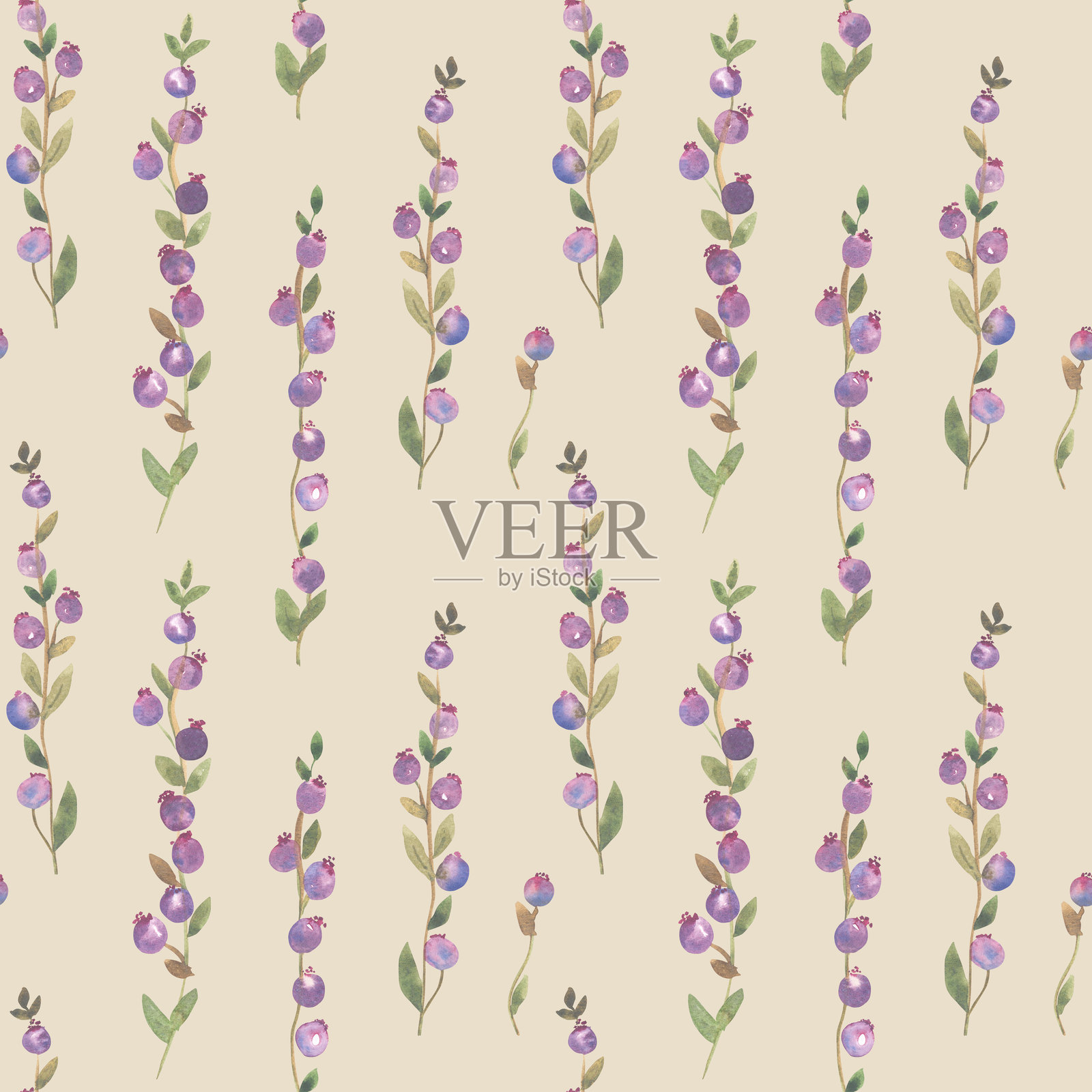 手绘水彩无缝纹理，描绘带有紫色浆果的树枝。插画图片素材