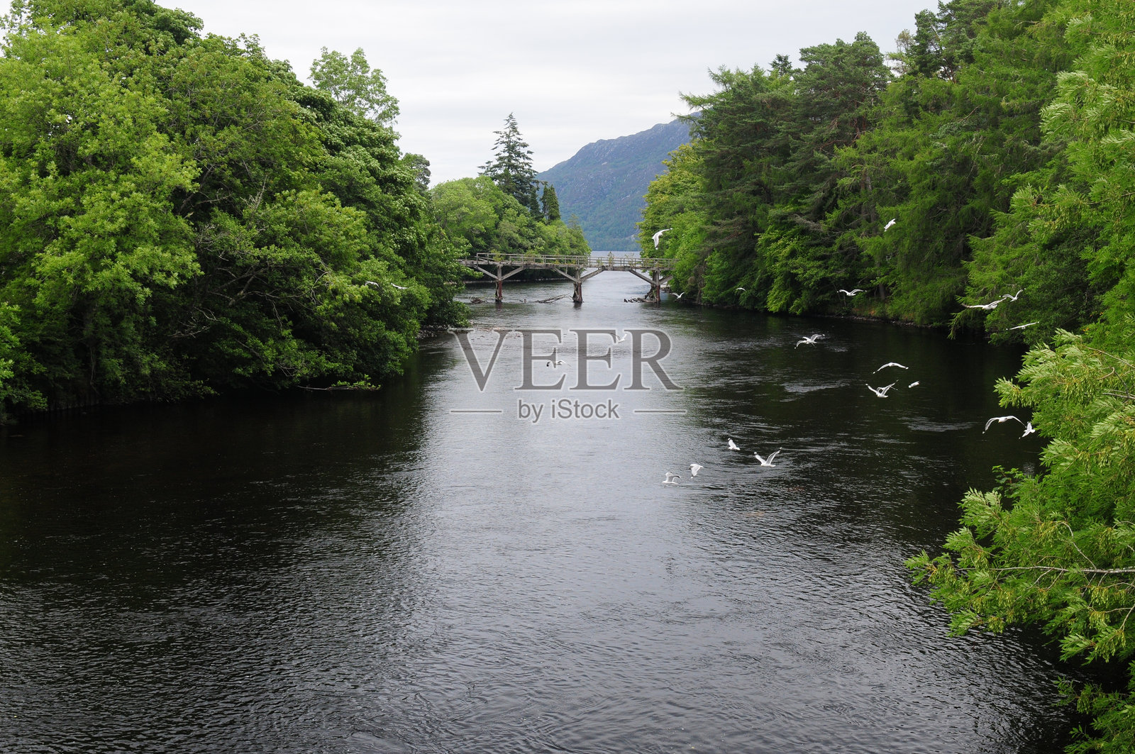 美丽的夏日，英国苏格兰奥古斯都堡尼斯湖上的奥伊奇老桥照片摄影图片