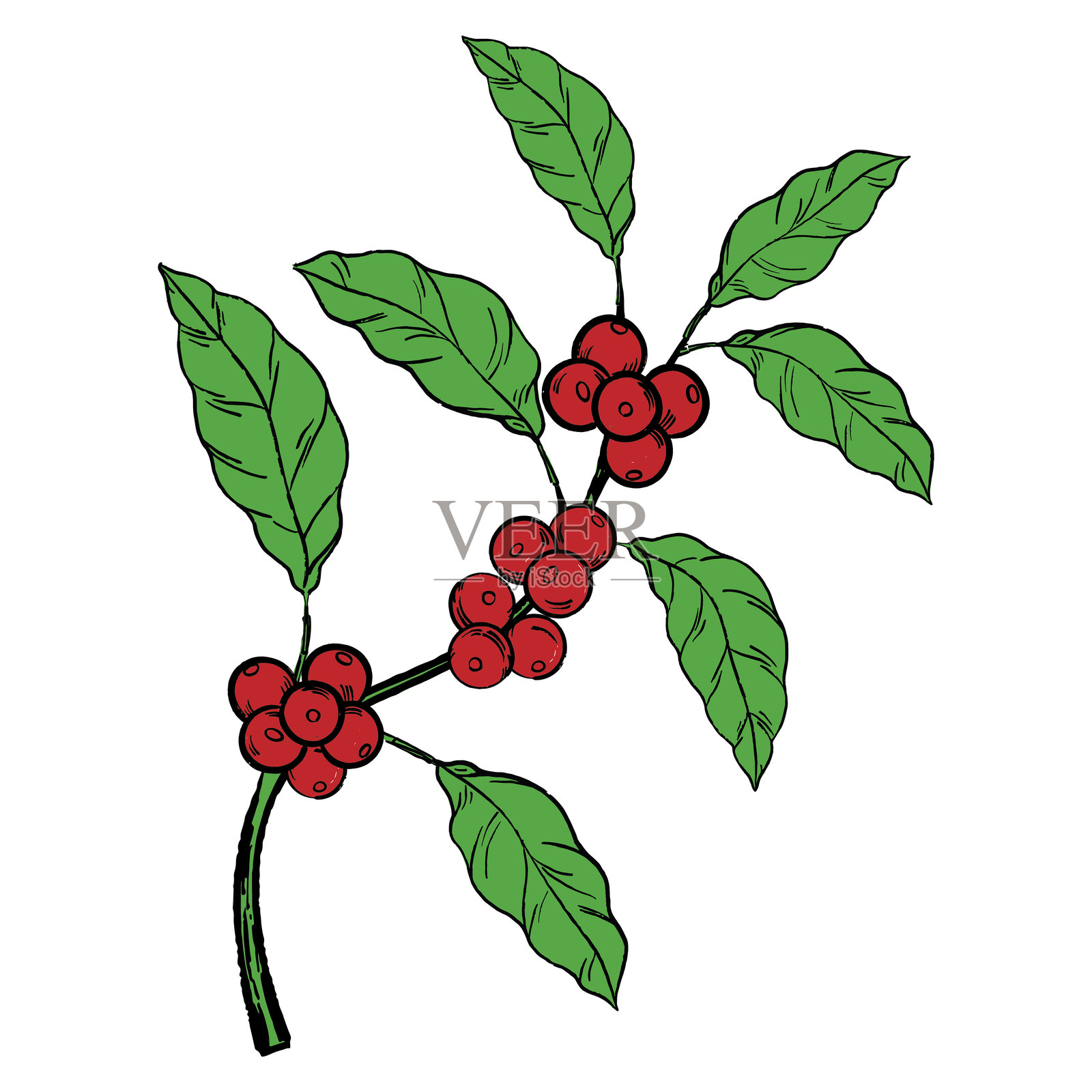 咖啡绘画插画图片素材