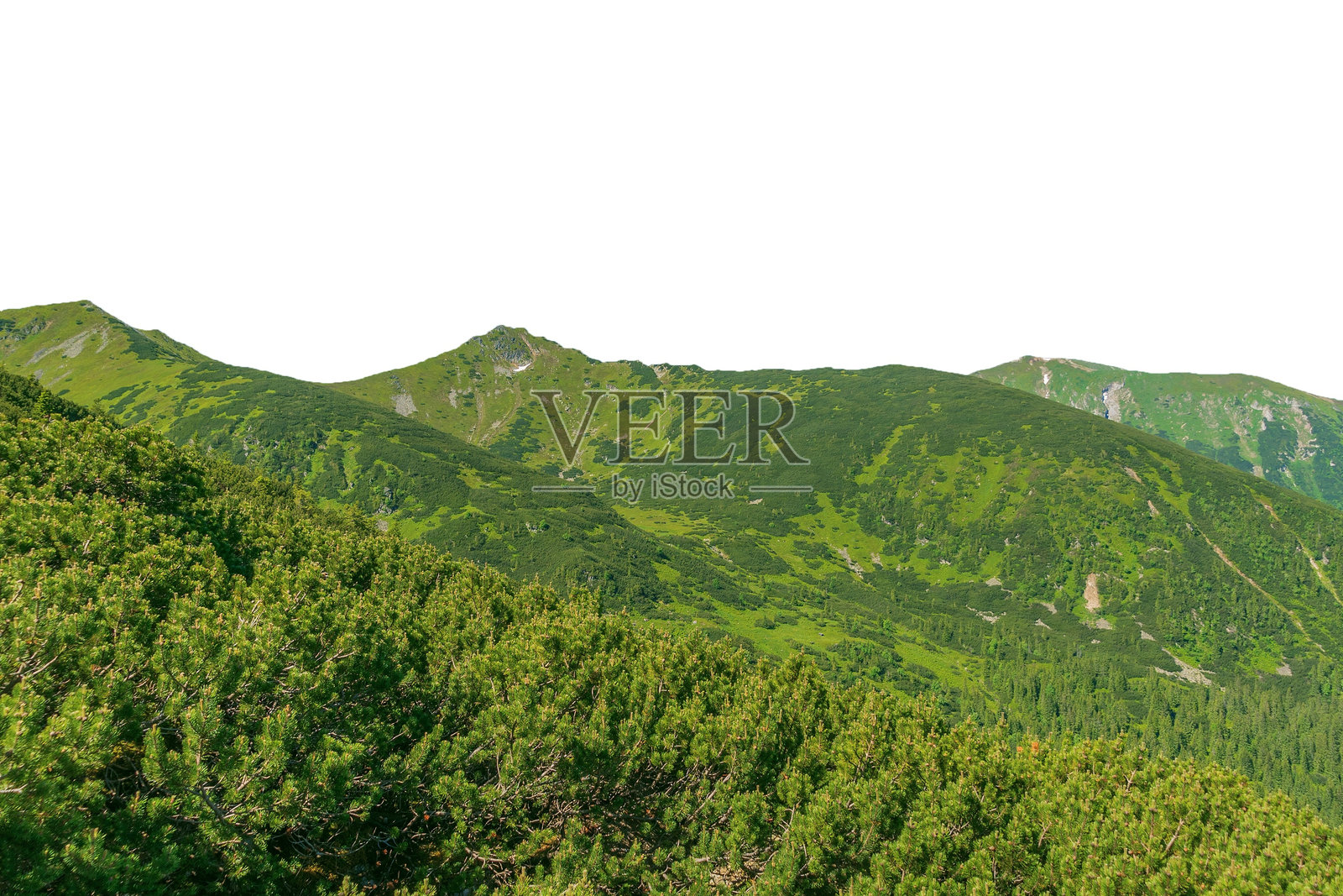 夏季的绿色山脉，孤立在白色背景上。照片摄影图片