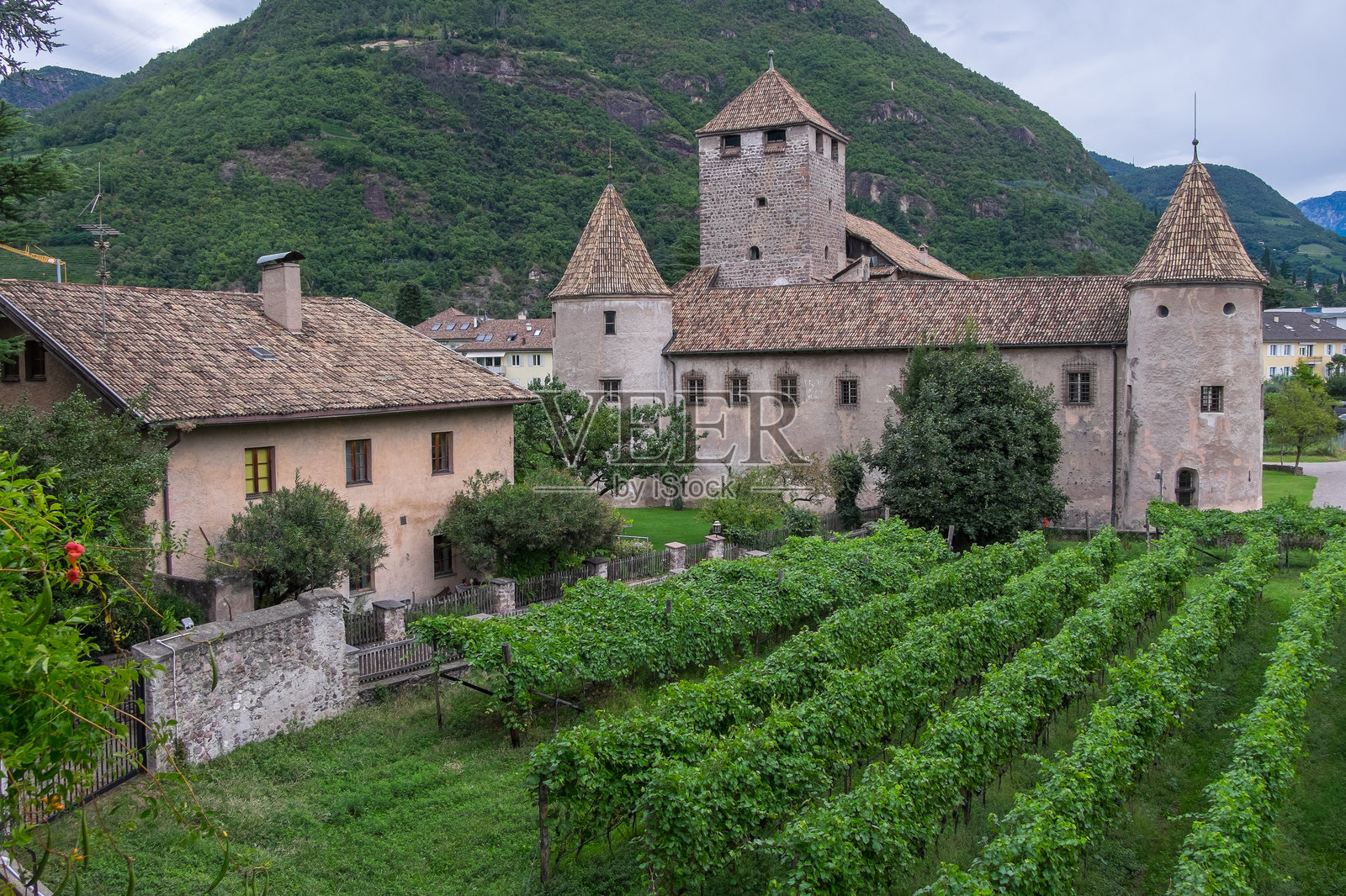 意大利博尔扎诺的葡萄种植园和马雷乔城堡照片摄影图片