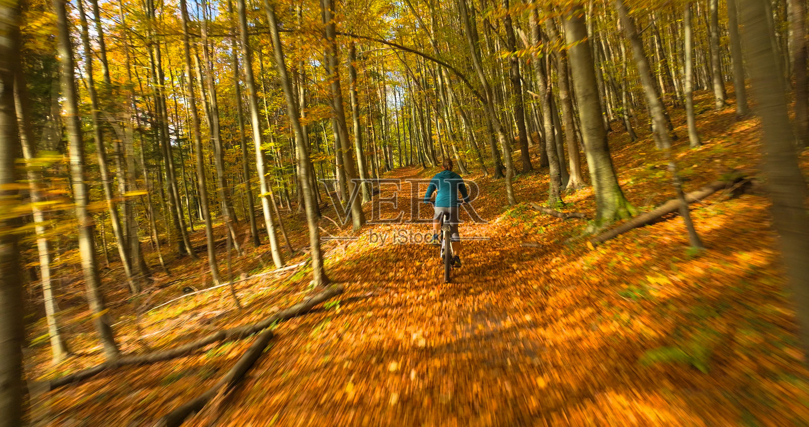 空中视角：骑自行车的人在铺满落叶的森林小径上骑行山地车照片摄影图片