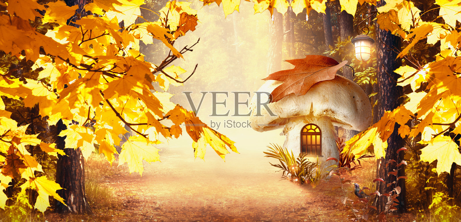 迷人的仙女森林，巨大的蘑菇魔法屋，金色的枫叶和悬挂在松树上的灯笼，奇幻的秋季风景。照片摄影图片