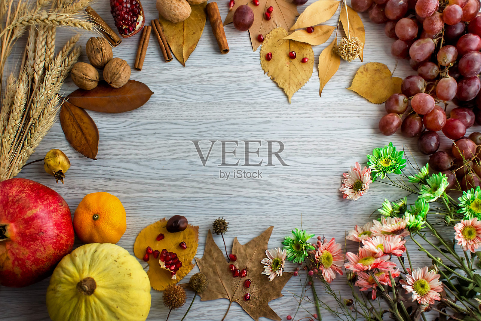 收获设计框架与新鲜农作物水果照片摄影图片