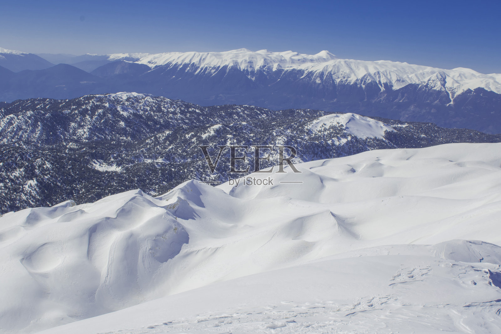 自然中的森林与雪山峰照片摄影图片