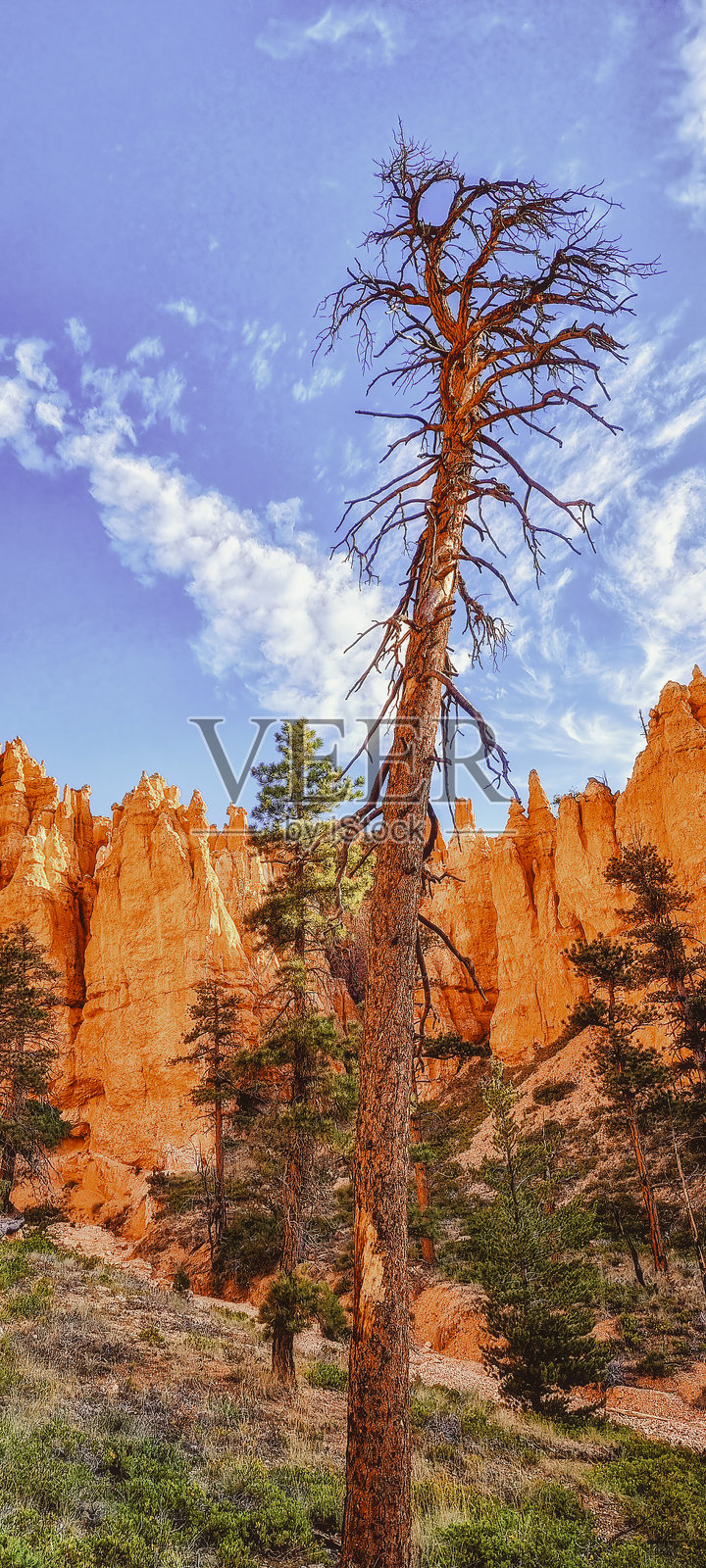 布莱斯国家公园纳瓦霍环道上美丽的红砂岩风景和 jagged peaks。照片摄影图片