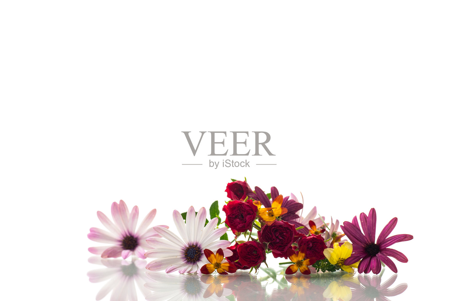 小束多彩的夏季小花照片摄影图片