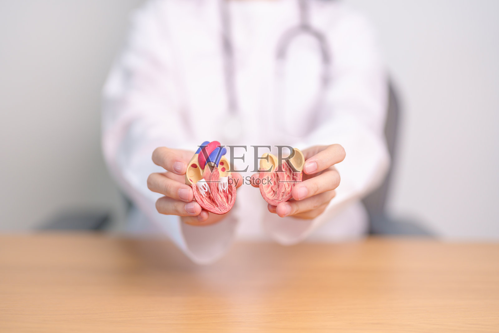 医生手持心脏解剖模型，心血管疾病和世界心脏日概念照片摄影图片