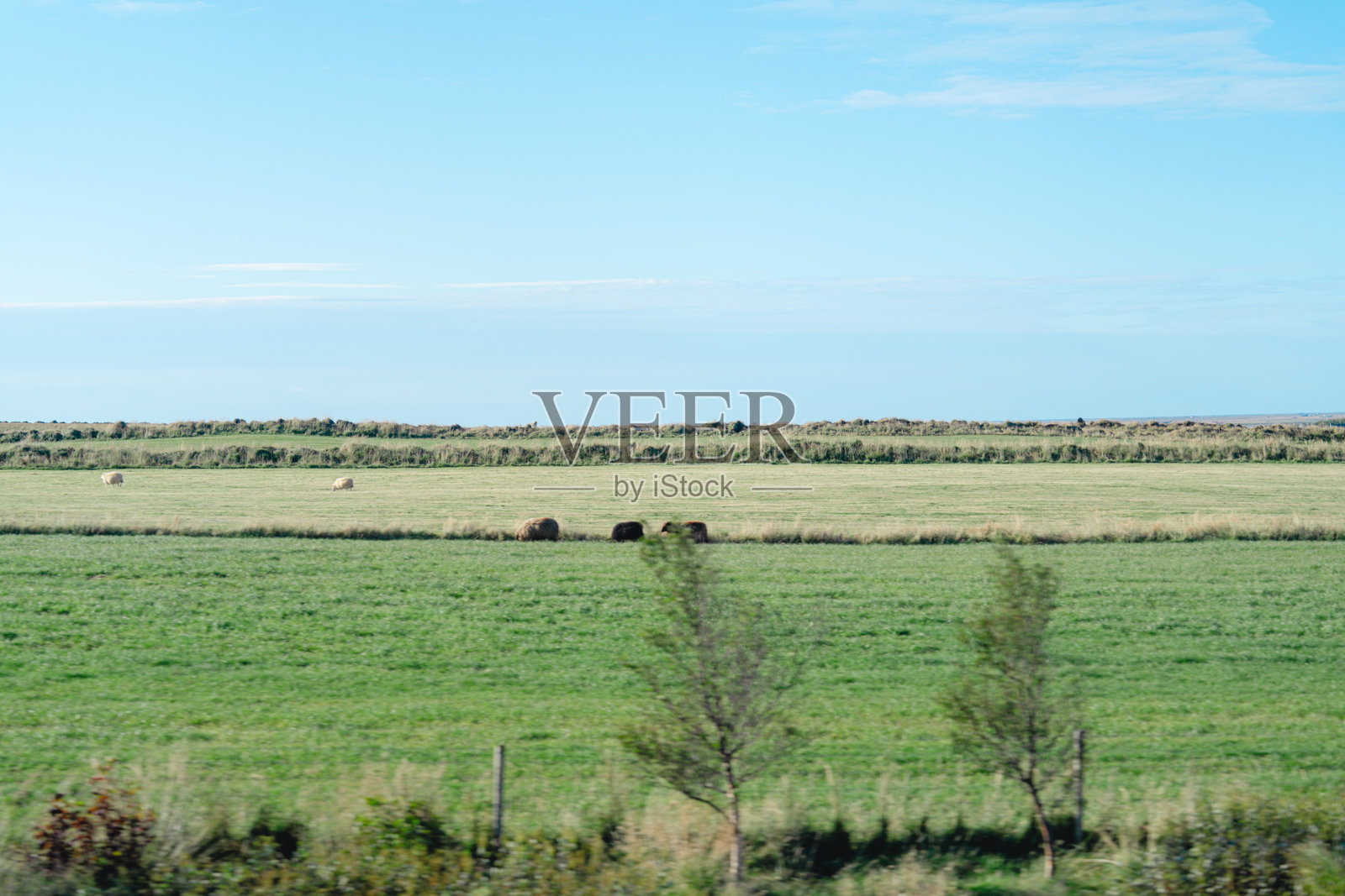 从巴士上看到的冰岛美丽风景照片摄影图片