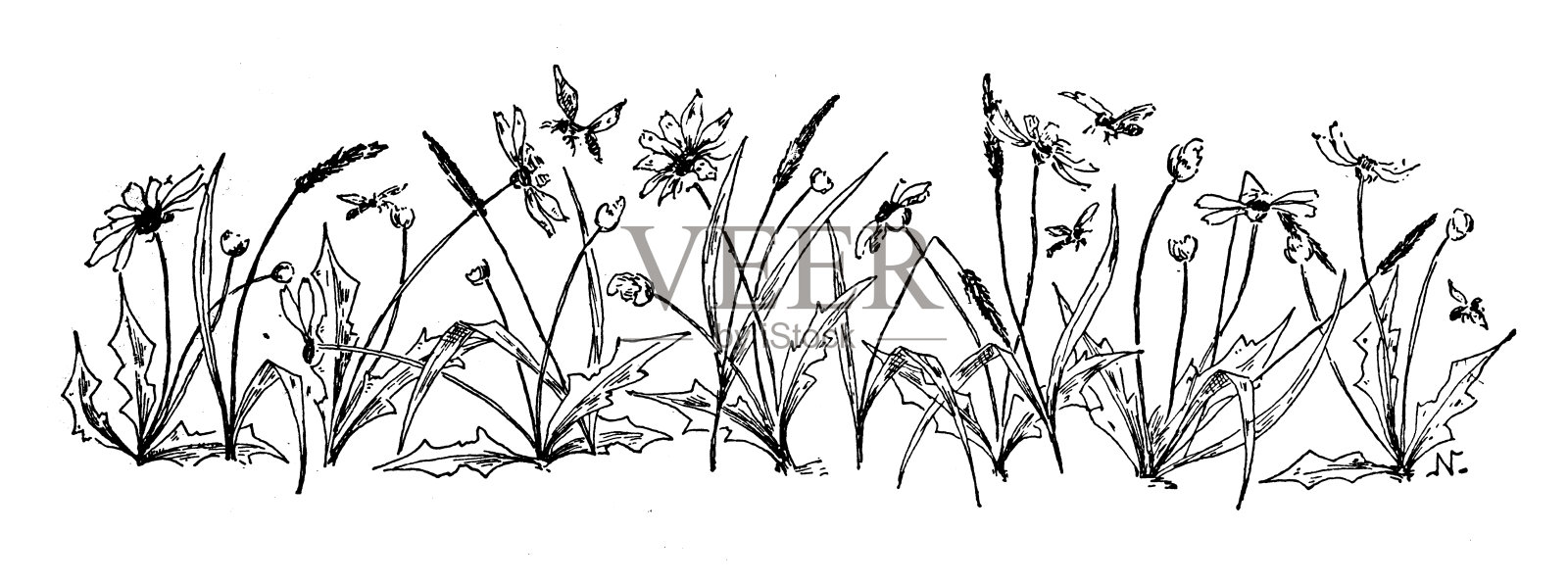 古董图像：书籍装饰品插画图片素材