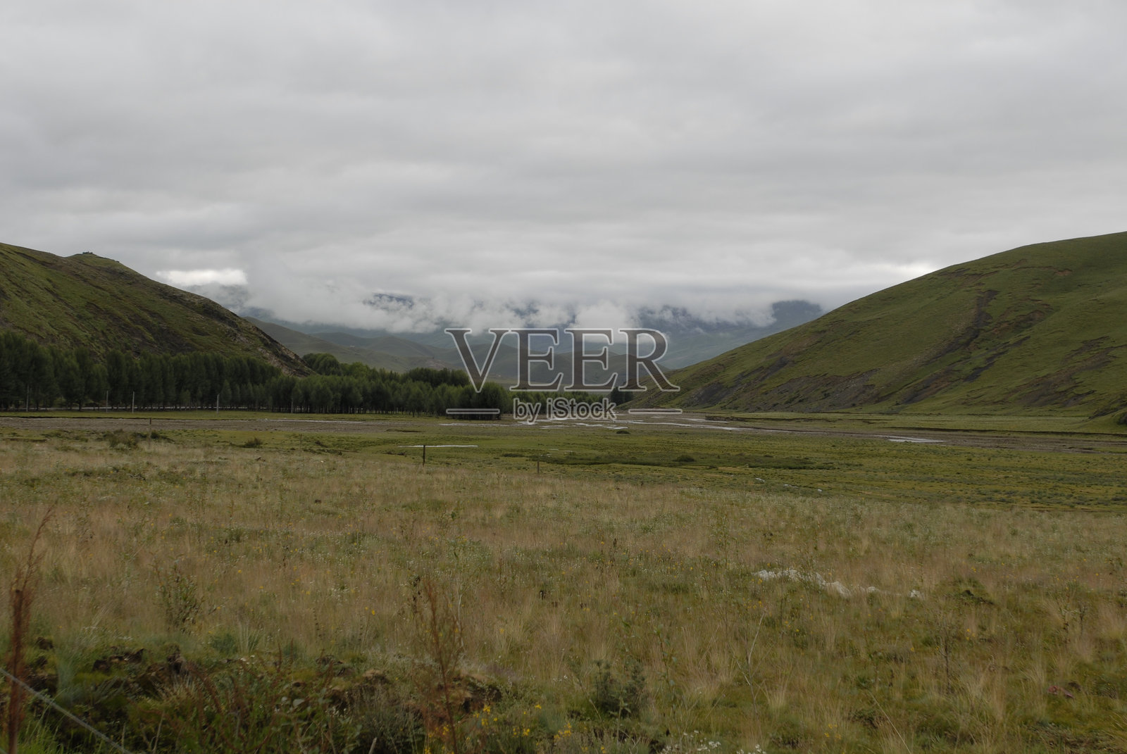 雪山下的牧场照片摄影图片