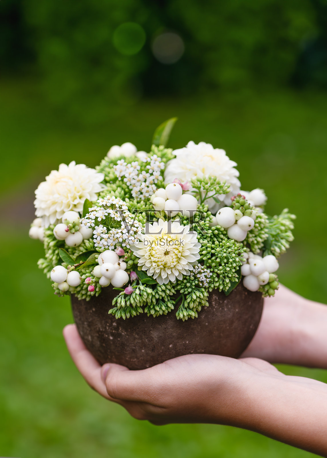 女孩的手捧着美丽的白色大丽花、华丽的景天花和雪莓枝的花束，放在一个乡村风格的花瓶里。照片摄影图片