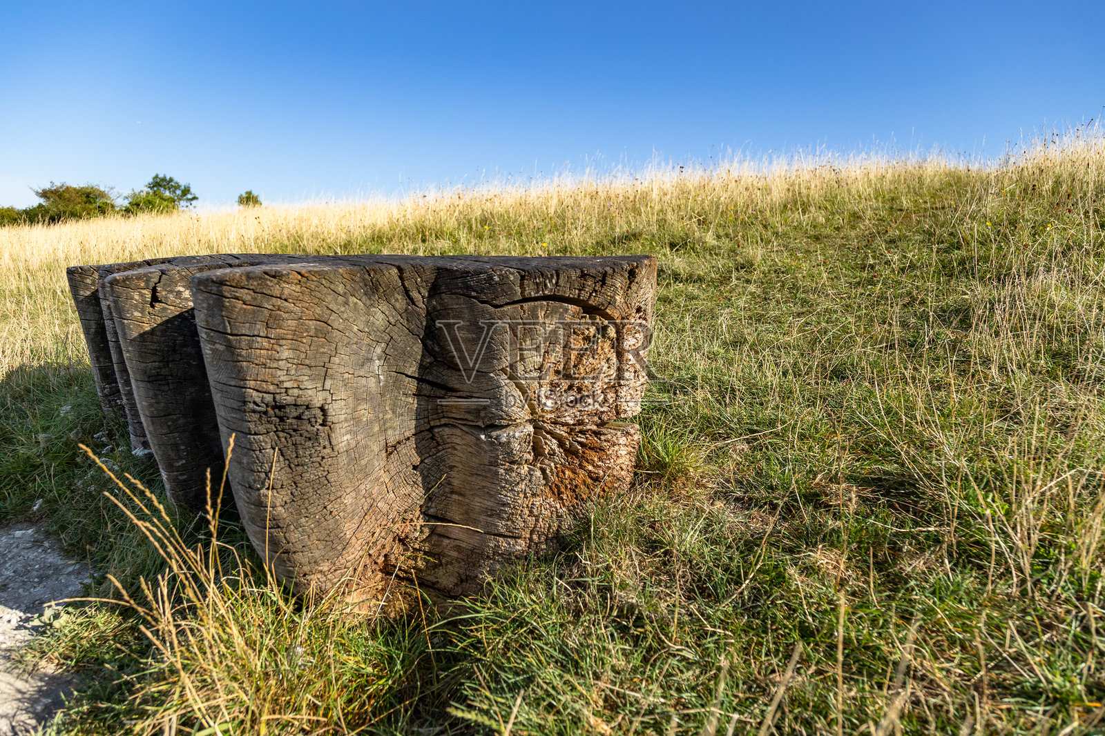 皮尤利山长椅，吉尔福德，萨里，英格兰照片摄影图片