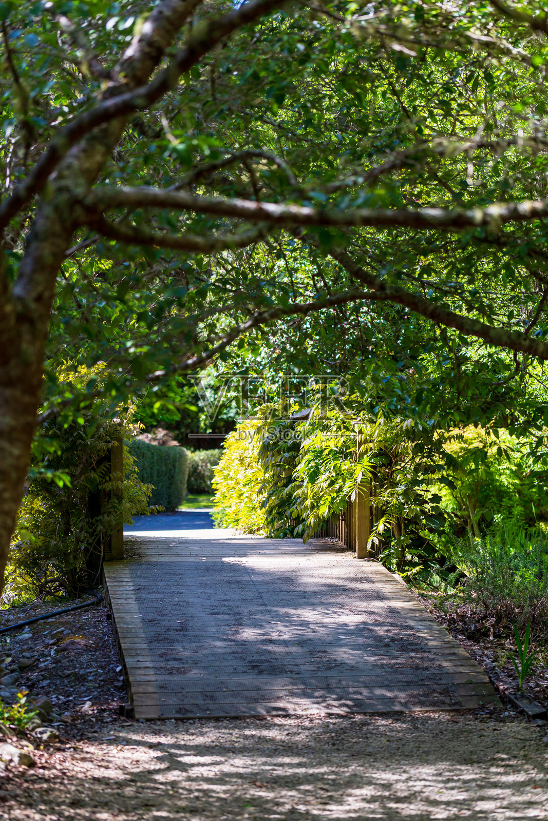 阴影中的木桥通向阳光明媚的花园小径照片摄影图片