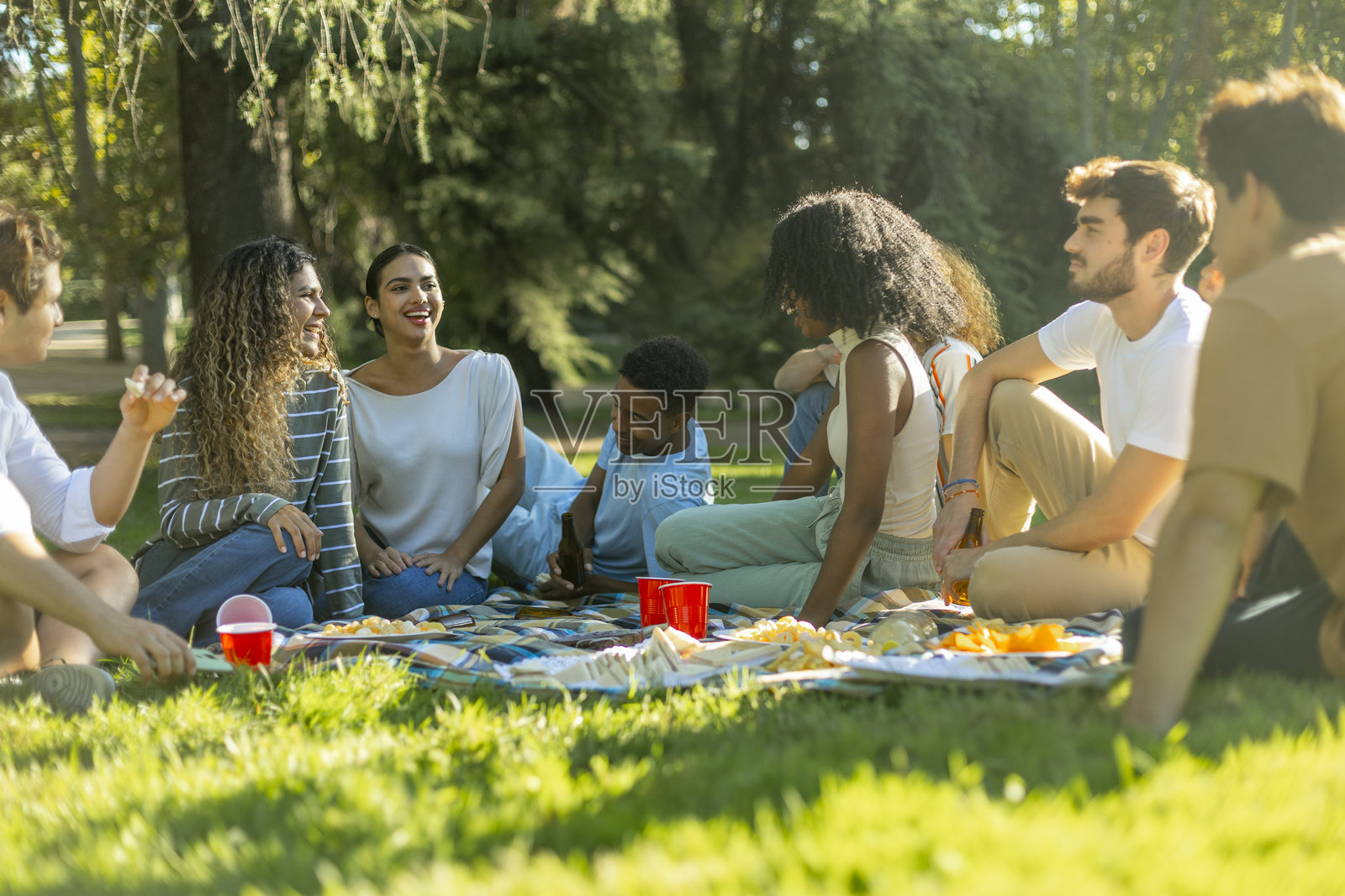 朋友们在阳光明媚的公园里野餐照片摄影图片