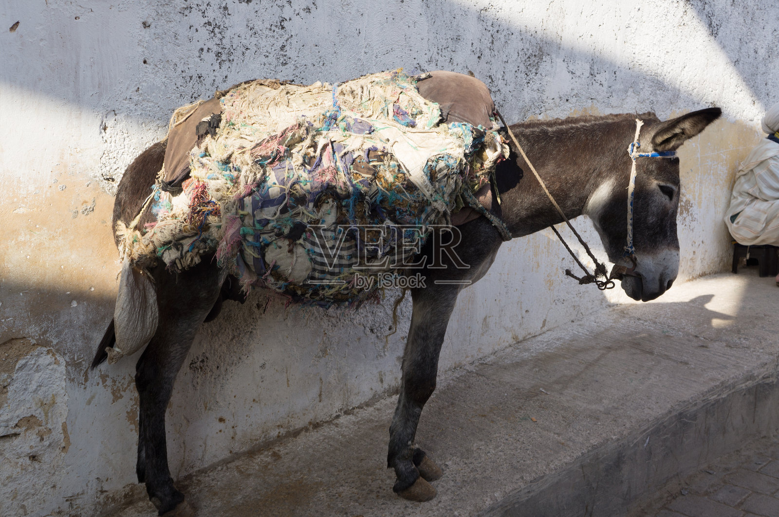 驴子站在墙边照片摄影图片