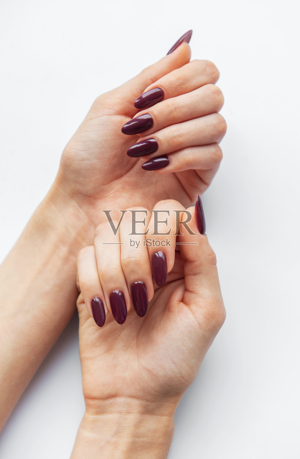 在纯白色背景上展示深紫色美甲技术的优雅双手照片摄影图片