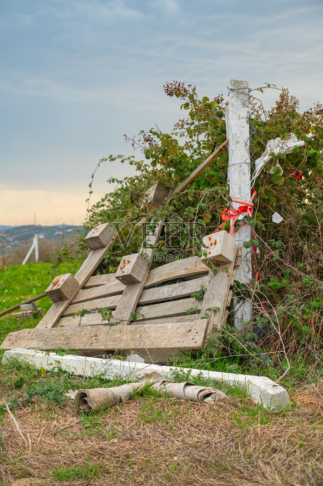 当地花园里温暖多云的日子里，破损的木托盘照片摄影图片