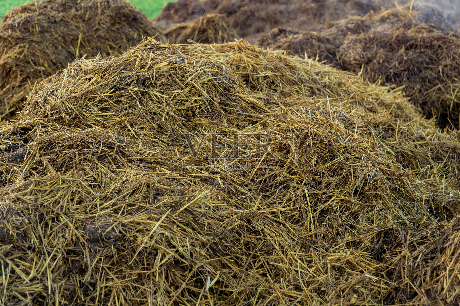 一大堆富含营养的有机堆肥坐落在乡村农场上。阳光照耀着稻草和粪便的混合物，表明这是进行土壤改良的时机。照片摄影图片