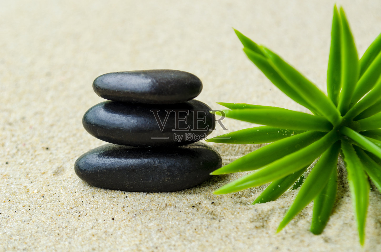 黑色禅石与植物背景，带有可自定义的文本或创意空间照片摄影图片