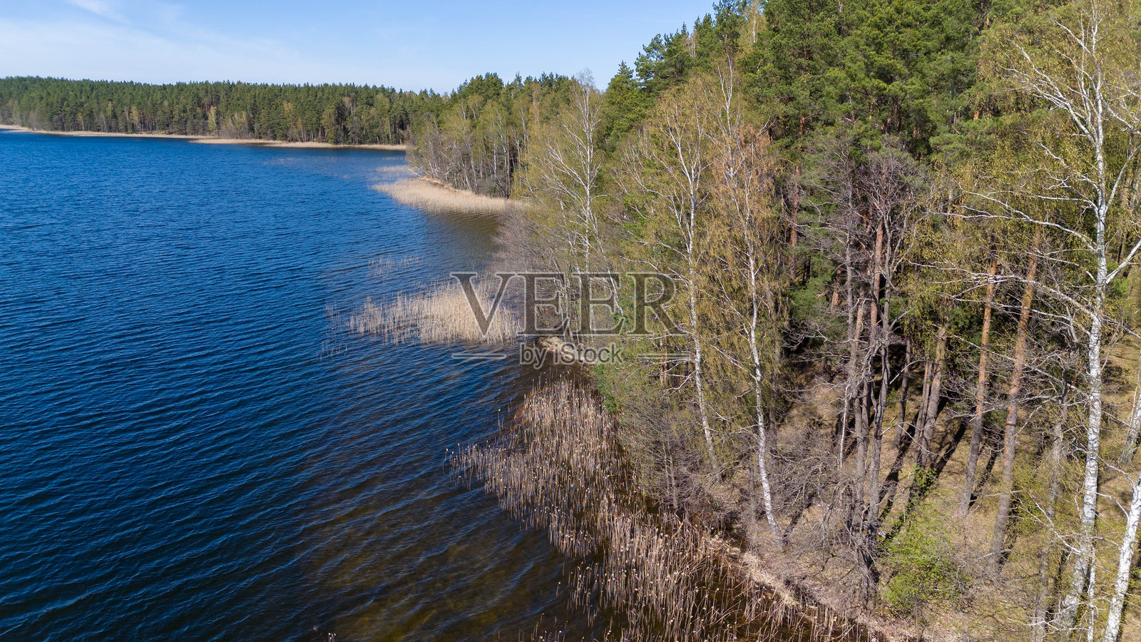 宁静湖泊的鸟瞰图，四周被森林环绕照片摄影图片