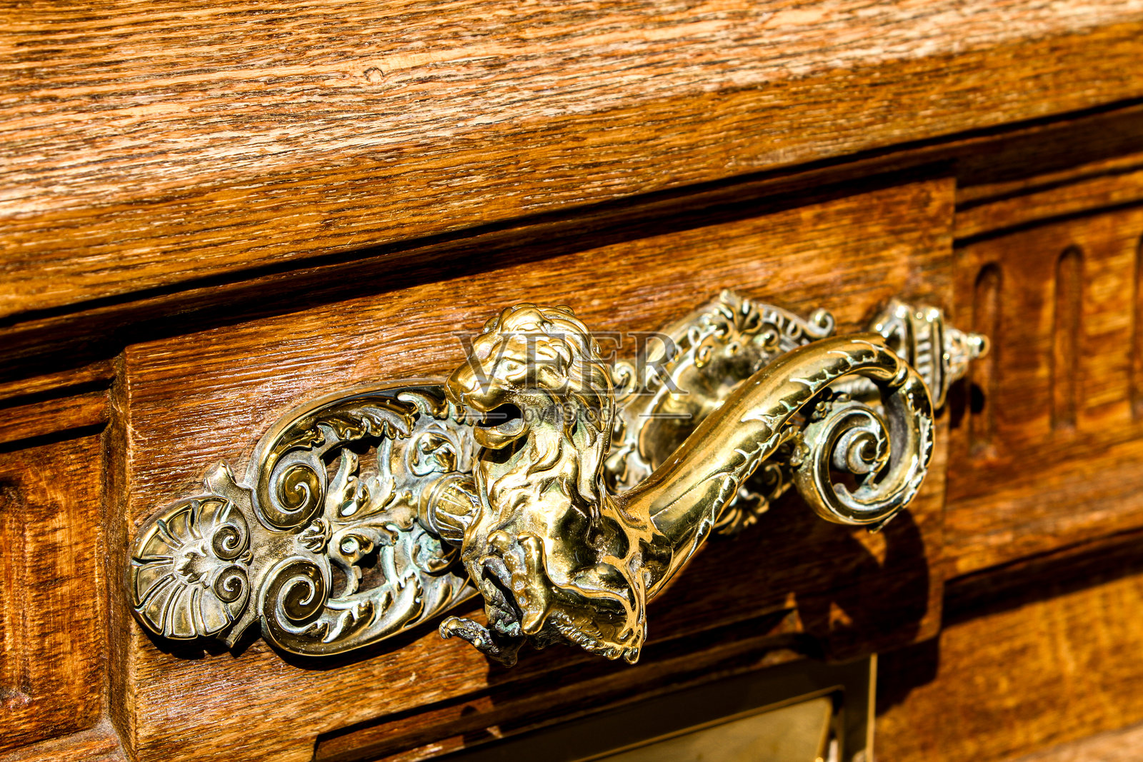 精美的黄铜狮子门把手装饰在古董木柜上，背景是迷人的巴黎日间景色。照片摄影图片