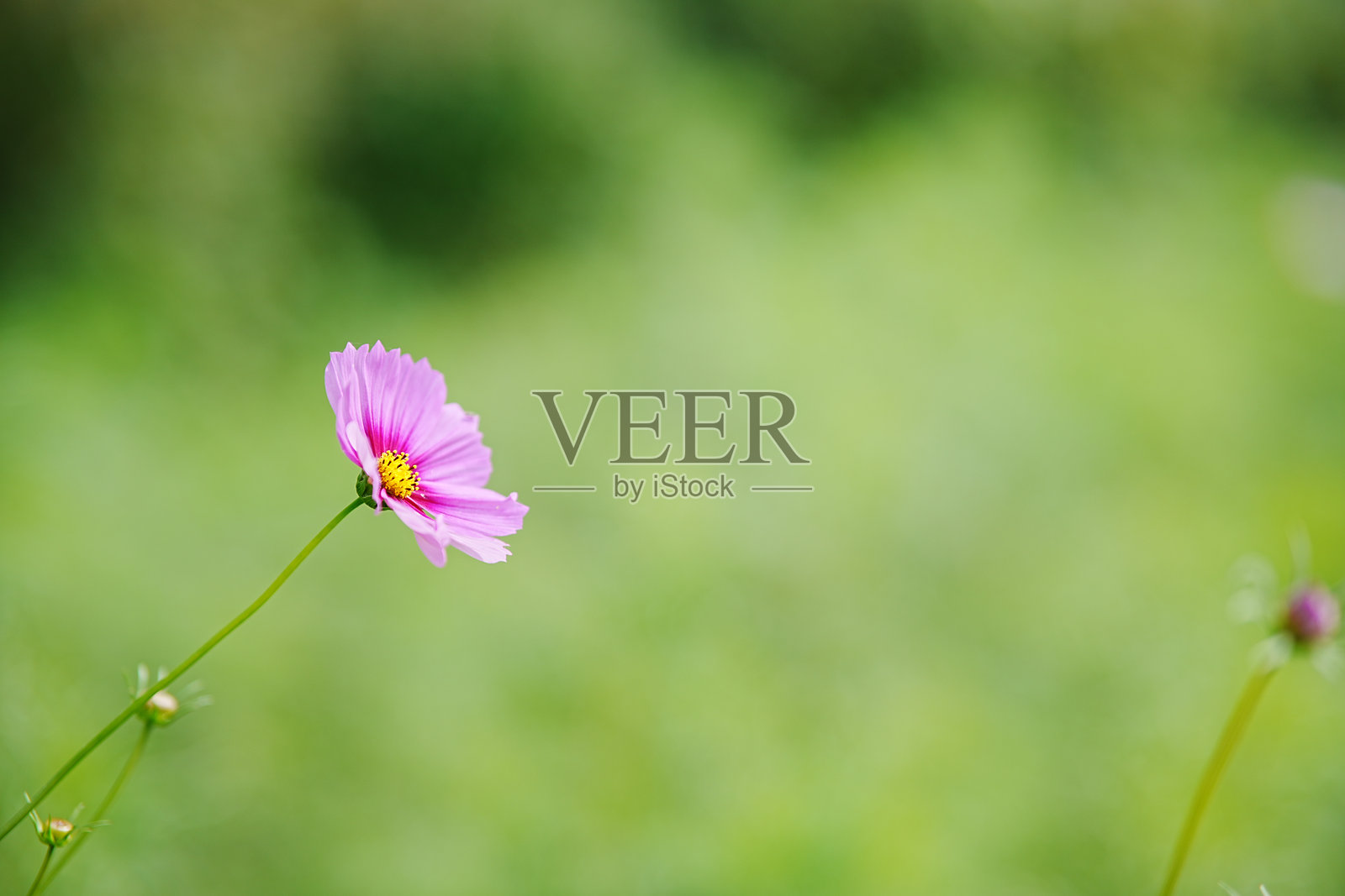 宇宙照片摄影图片