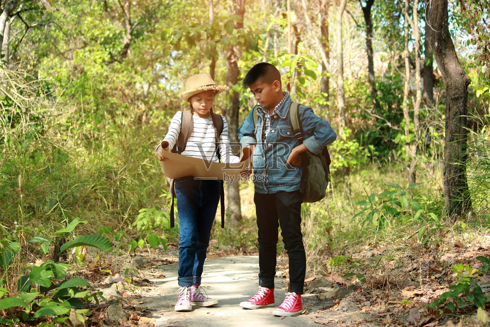 朋友们站在森林的植物小路上看地图照片摄影图片