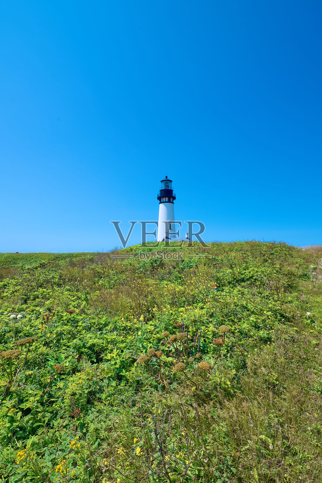 历史悠久的雅奎纳岬灯塔，俄勒冈州纽波特照片摄影图片