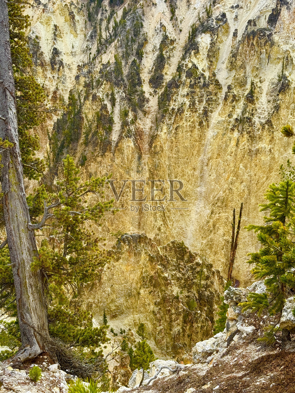 黄石河大峡谷照片摄影图片