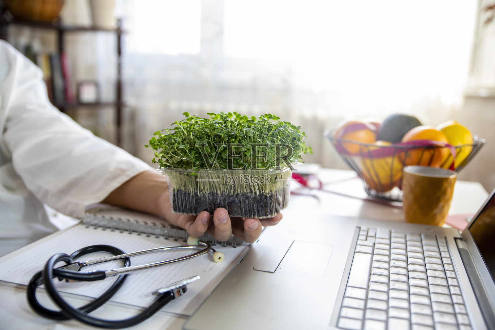 用于健康饮食的西兰花芽苗菜 - 控制植物育种照片摄影图片